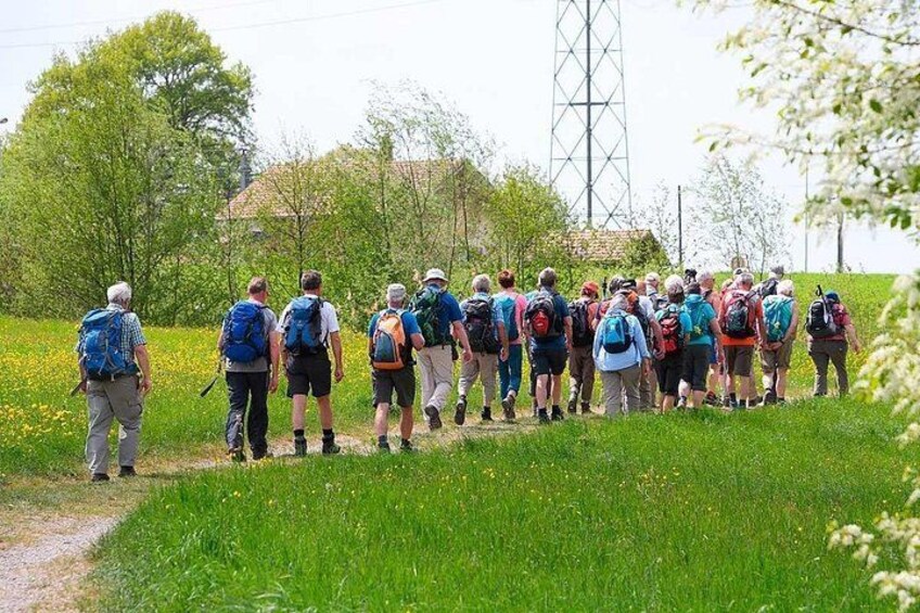 "Camino de Santiago": PORTUGUESE WAY. Private Walking Tour from Tui 5