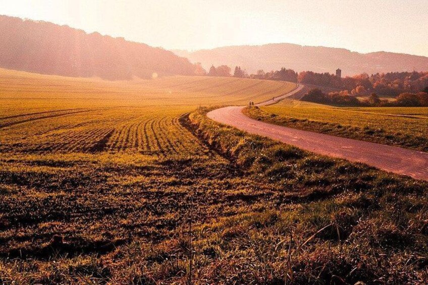 "Camino de Santiago": PORTUGUESE WAY. Private Walking Tour from Tui 2
