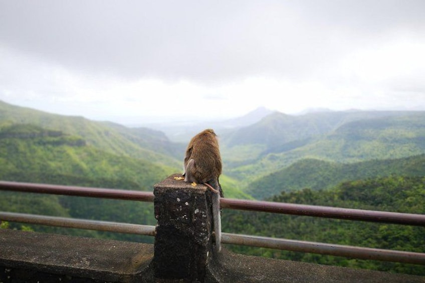 Mauritius Guided South Tour (Private) 2