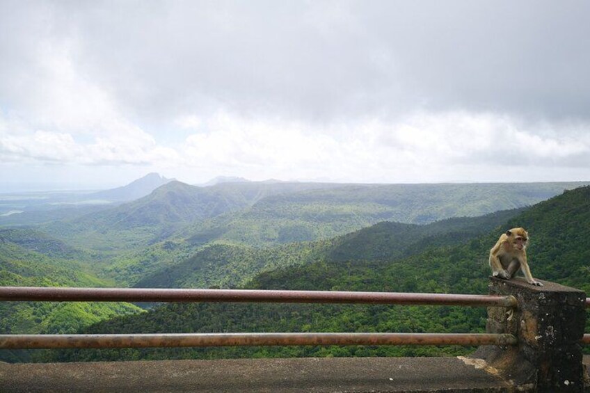 Mauritius Guided South Tour (Private) 2