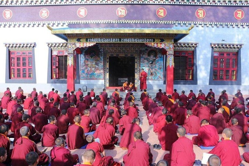 Tibetan Tranquility: Bangalore to Namdroling Monastery Day Tour 3