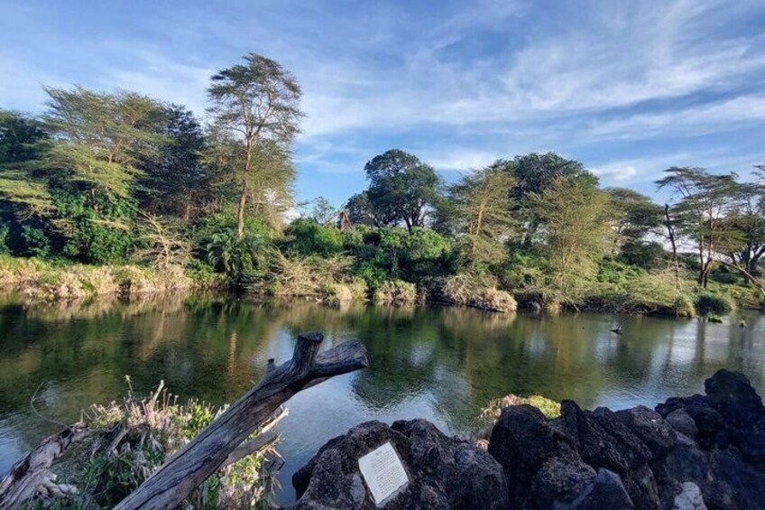 A calm river with trees and rocks. 5