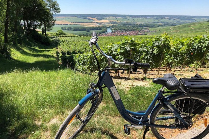 Una bicicleta azul estacionada en una colina cubierta de hierba con vistas a un viñedo y un pueblo lejano. 1
