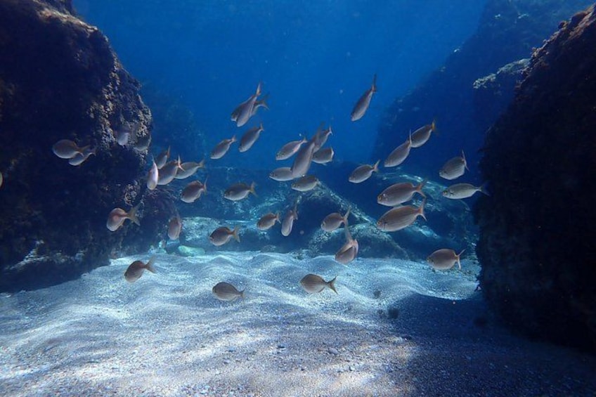 Giardini Naxos Taormina Isola Bella Blue Grotto Boat Tour 2