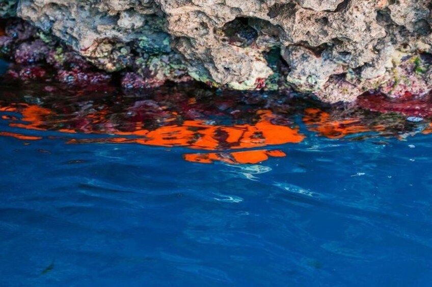 Giardini Naxos Taormina Isola Bella Blue Grotto Boat Tour 4