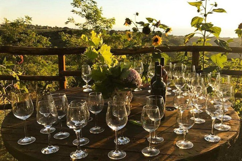 Wine and food tasting 1
