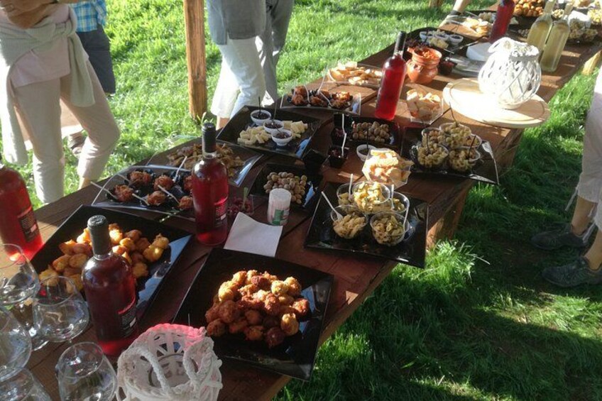 Wine and food tasting 5