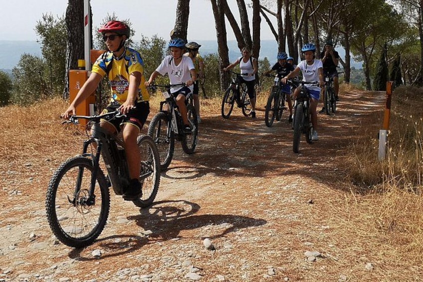 A group of cyclists on a dirt trail surrounded by trees. 4