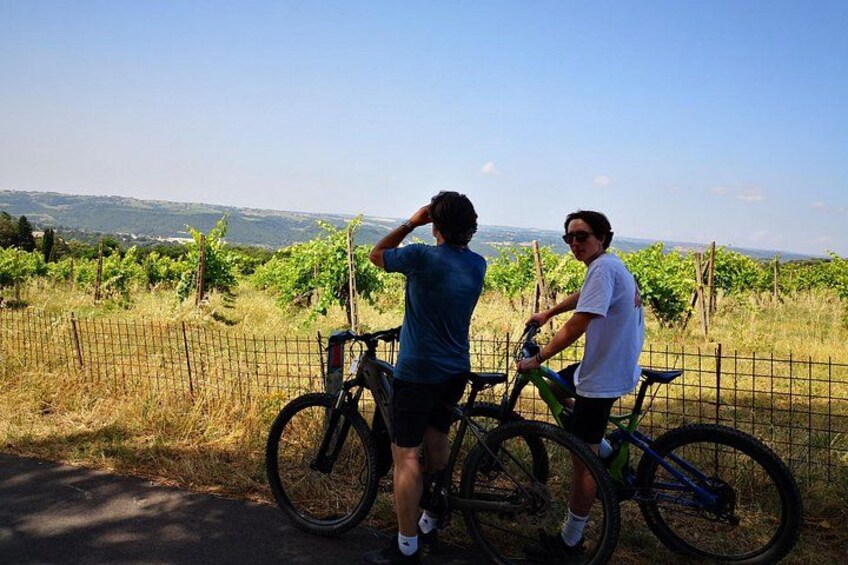 Two people standing by bicycles, overlooking a vineyard with a fence and distant hills. 3