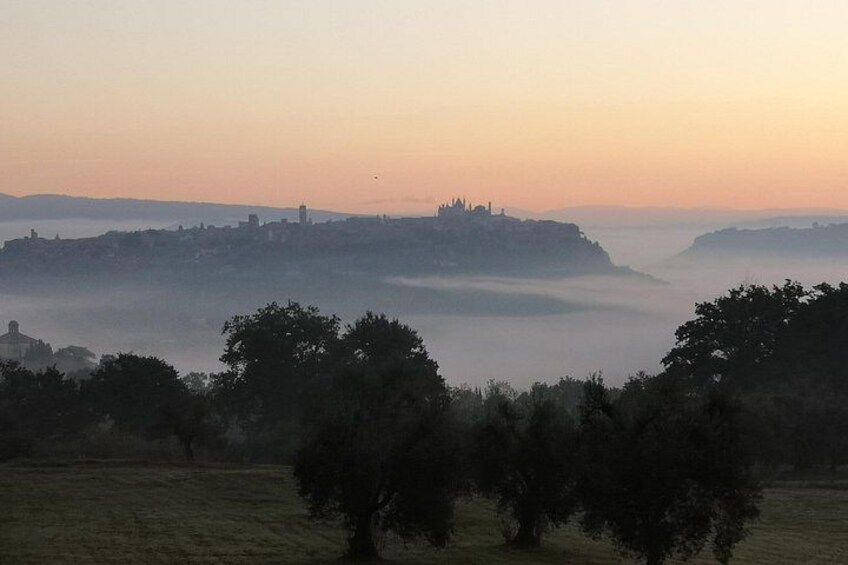 E-bike tour in Orvieto in small group: history, culture with lunch or dinner 4