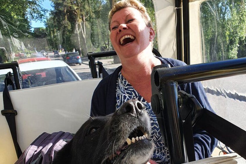 A person sitting in a vehicle with a black dog. 2