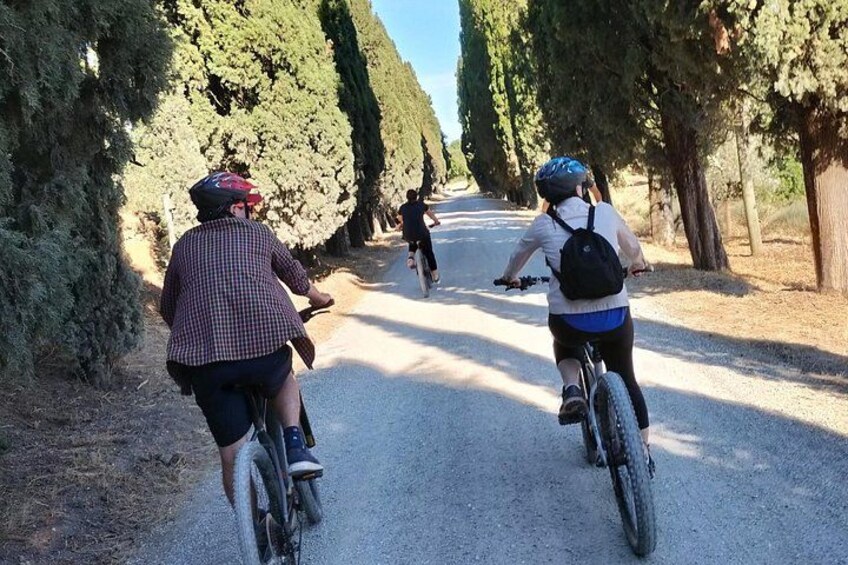Luxury Eno and Oil experience, by e-bike and more... 3