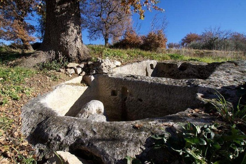 Una gran estructura de piedra con un pozo central, rodeada por un muro de piedra. 5