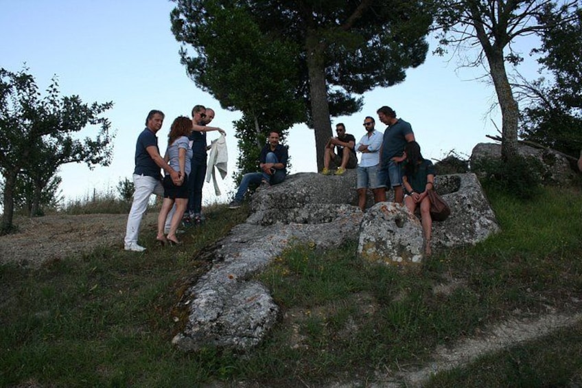 Un grupo de personas sentadas sobre rocas en un área con césped, con árboles al fondo. 4