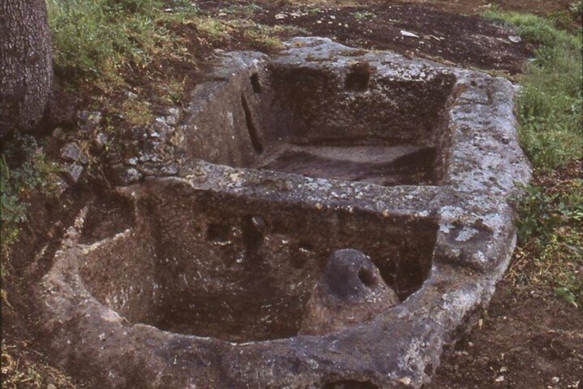  Guided tour of the Palmenti of Pietranico