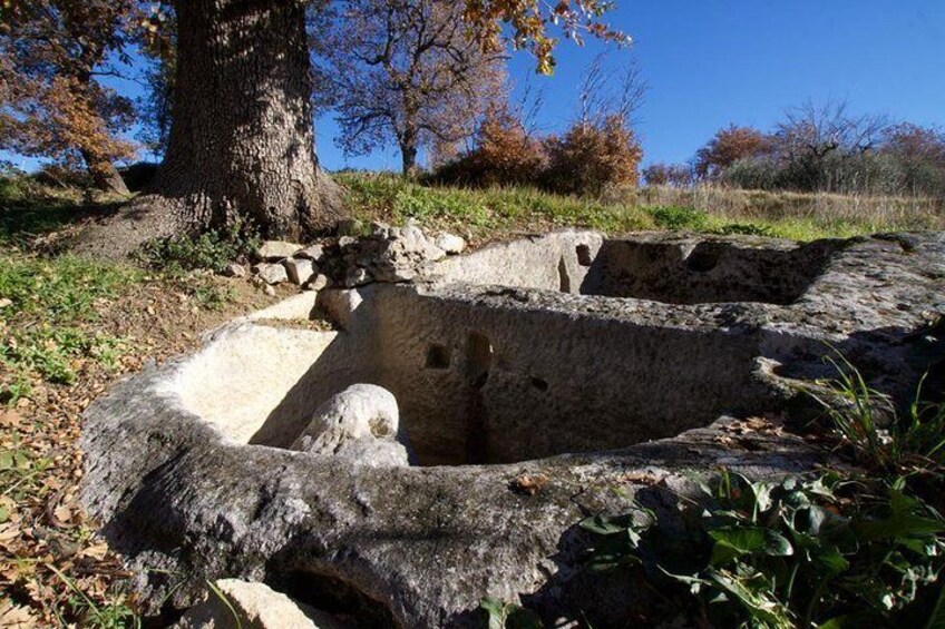  Guided tour of the Palmenti of Pietranico