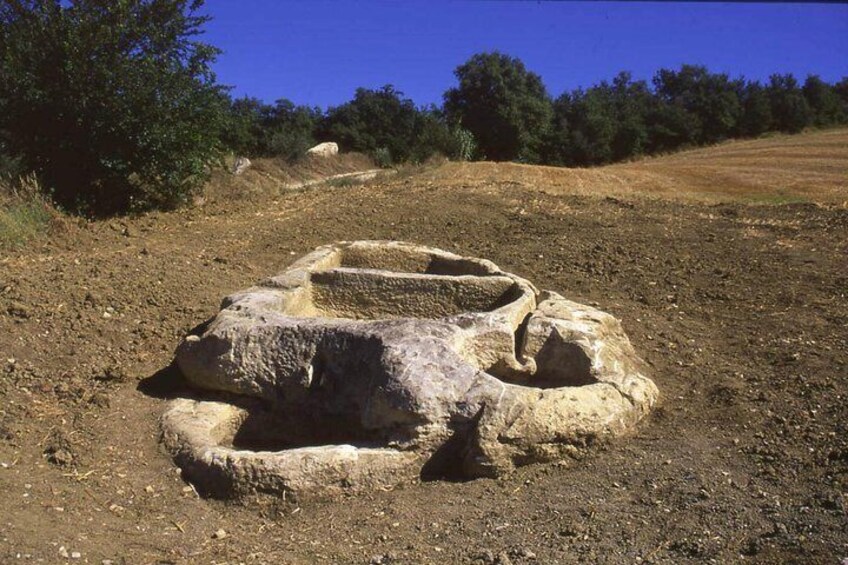  Guided tour of the Palmenti of Pietranico