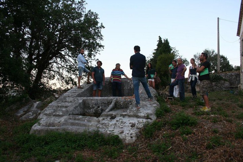 Un grupo de personas de pie sobre escalones de piedra con un árbol al fondo. 3