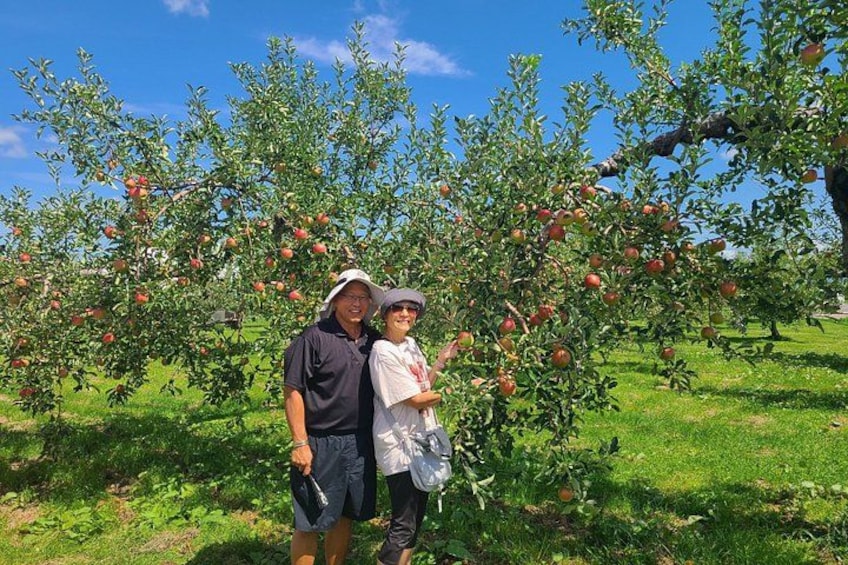 Hirosaki Customized Private Tour in 1 Day with Licensed Guide 2