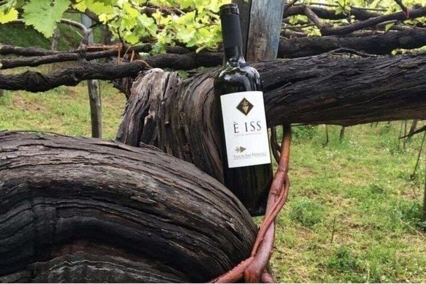 Tenuta San Francesco Wine Tasting 5