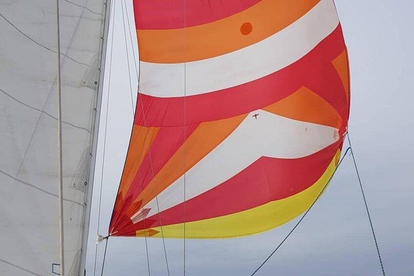 4-Hour Sailing Adventure on The Strait of Juan de Fuca 4
