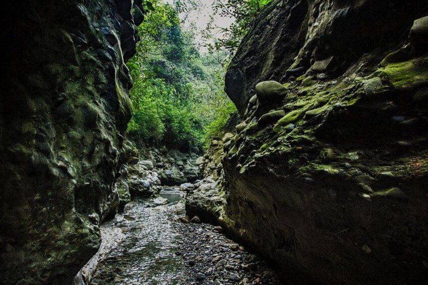 Discovering Dehradun: A Full Day Guided Tour 2