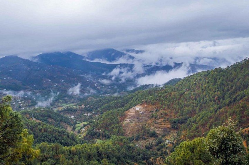 Nature's Trail: Dehradun to Mussoorie Private Day Trip 4