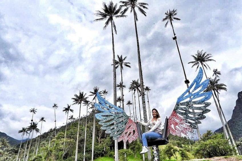 Cocora Valley and Salento Horseback Riding Day Tour 5
