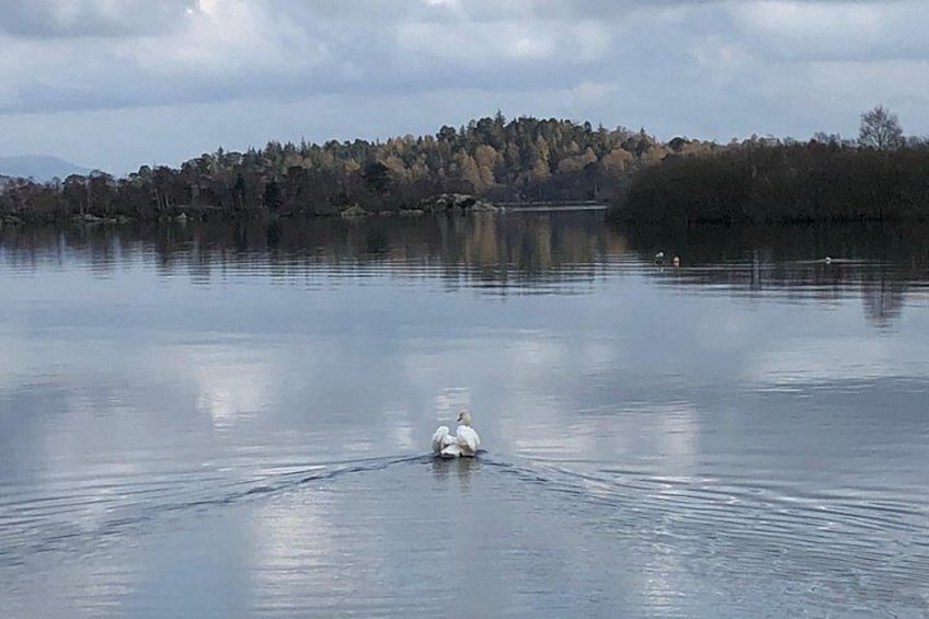 Luss 3