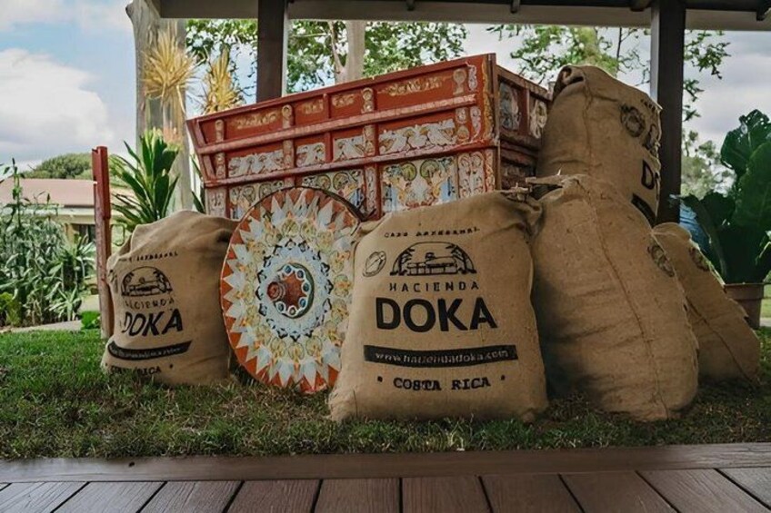 Sacks labeled 'DOKA' with a logo and text indicating 'Hacienda DOKA Costa Rica.' 5