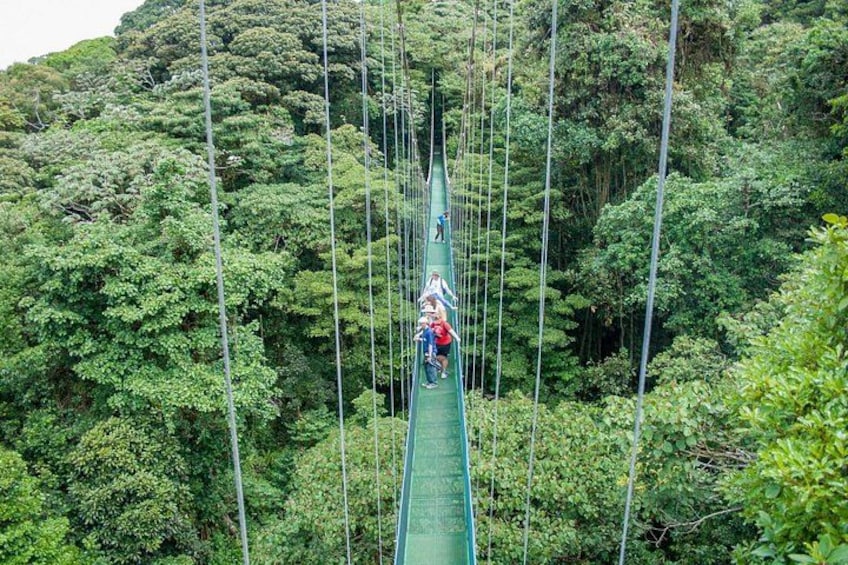 Hanging bridges 4