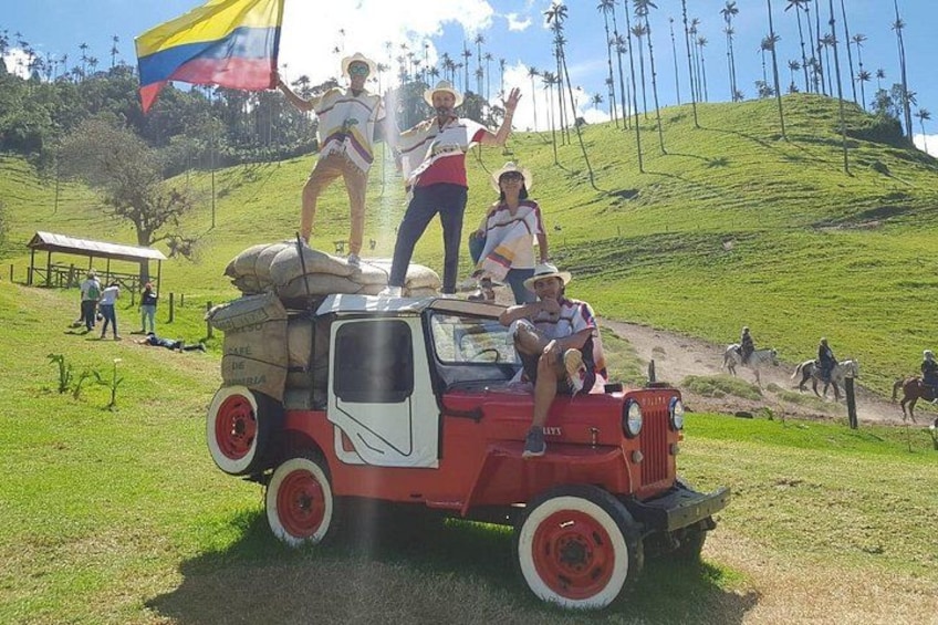 A red vehicle with passengers on a grassy hill, palm trees in the background, and a clear sky. 1
