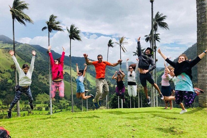 A group of people jumping in a grassy area with palm trees and mountains in the background. 5