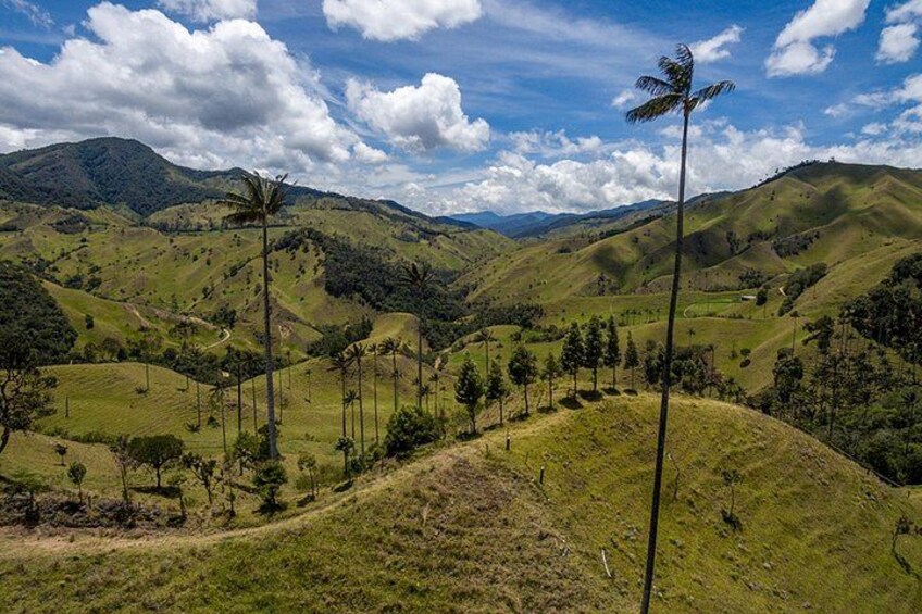 Cocora Valley and Salento Hike Tour 5
