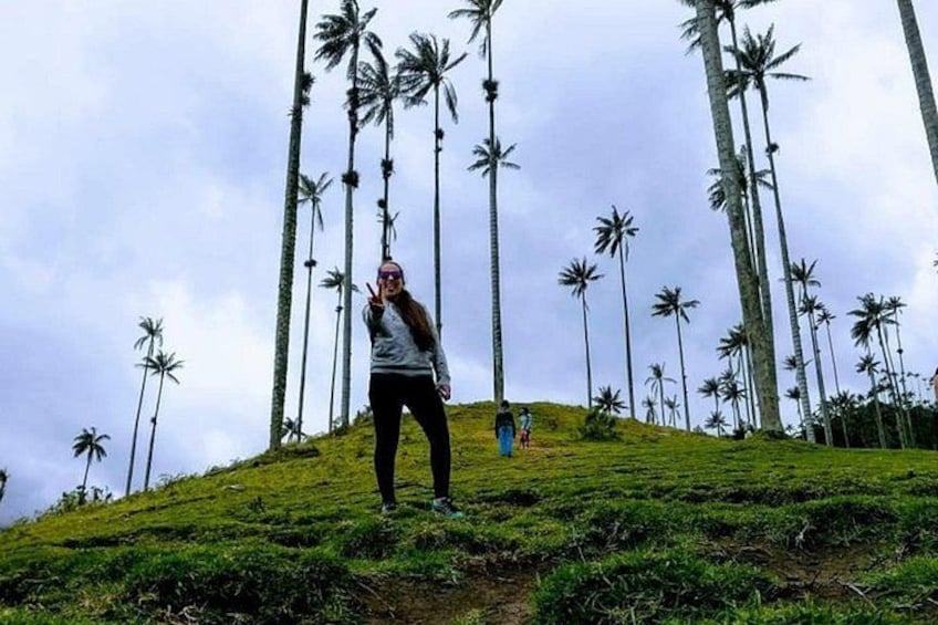 Cocora Valley and Salento Hike Tour 4