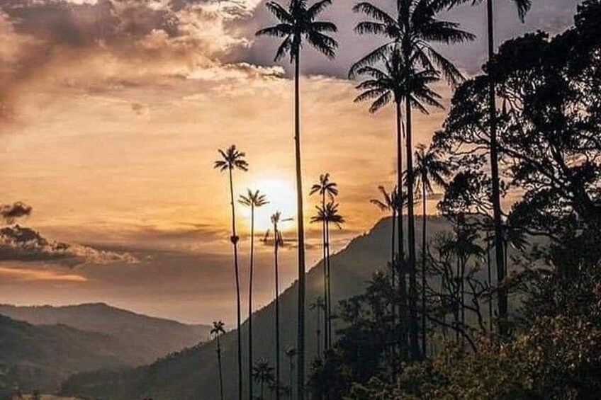 A sunset over a mountainous landscape with palm trees. 2