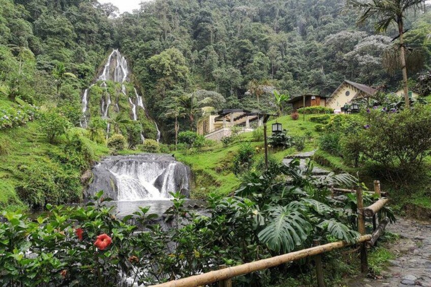 Santa Rosa de Cabal and Hot Springs Day Trip 3