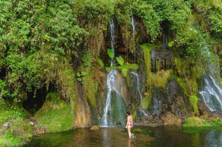 Santa Rosa de Cabal and Hot Springs Day Trip 2