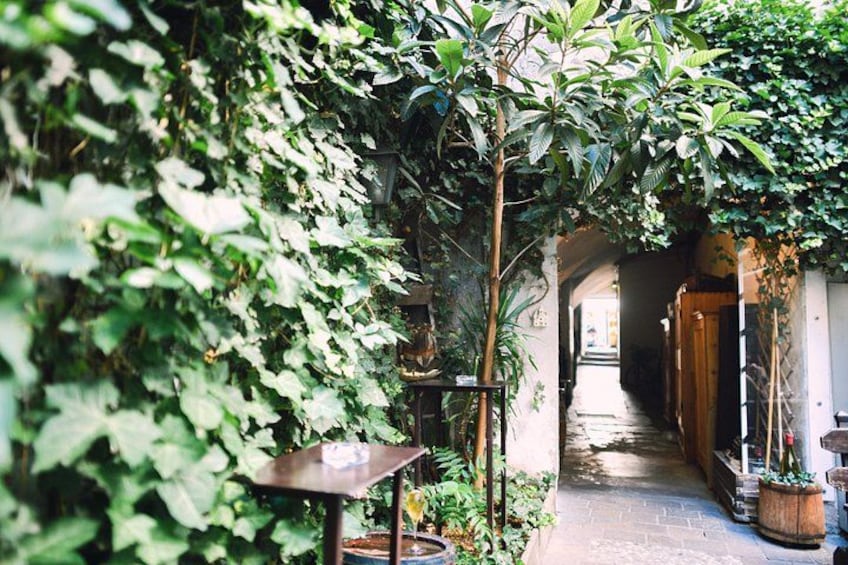 A narrow brick pathway flanked by lush greenery and a wooden table. 5