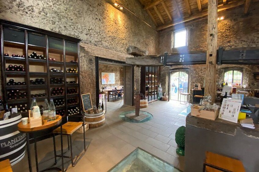 Etna Wine Tour : The Best Wineries from Taormina & Catania 2