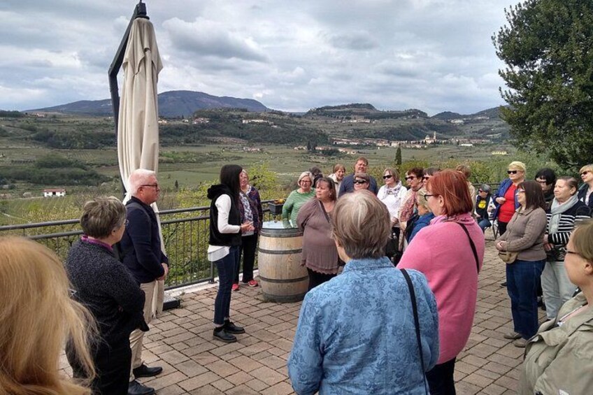A group of people standing on a terrace overlooking a hilly landscape. 3