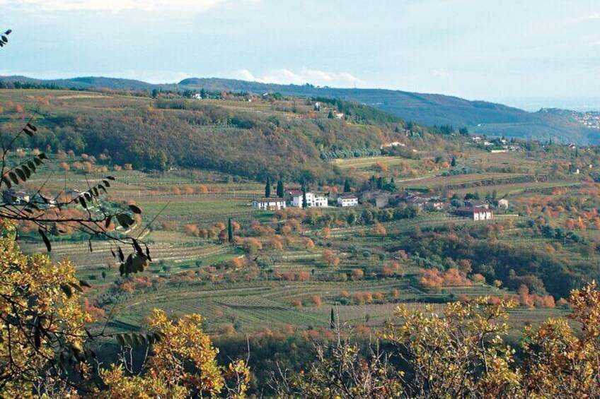 Amarone Wine Tasting from Verona