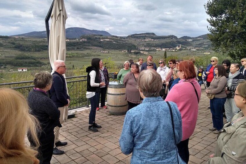 Amarone Wine Tasting from Verona 5