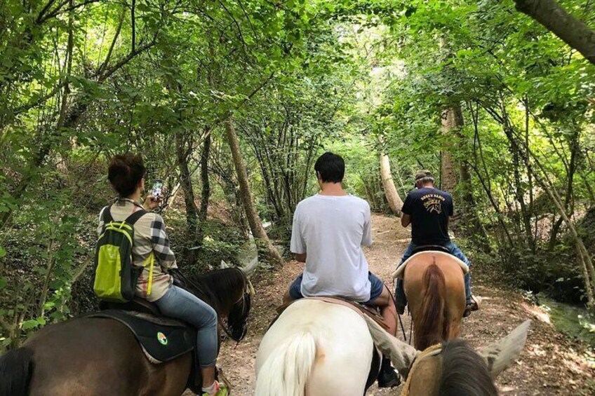 Horseback riding and wine tasting