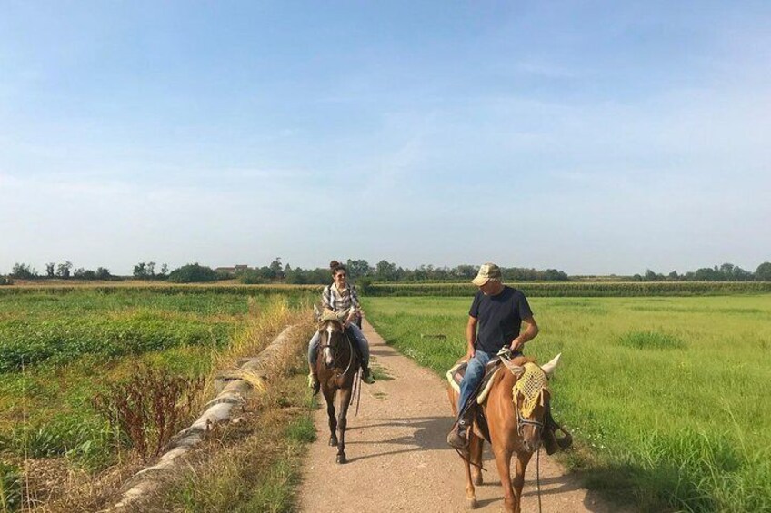 Horseback riding and wine tasting