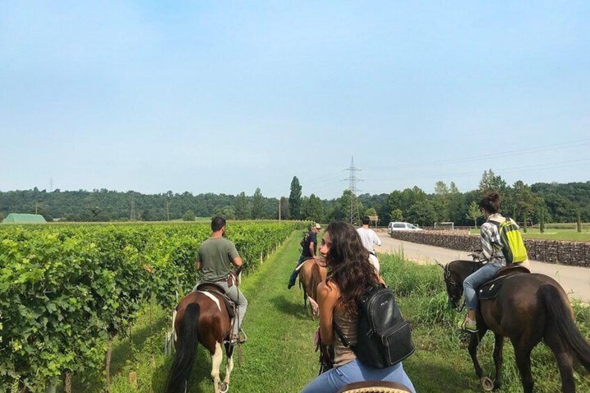 Horseback riding and wine tasting