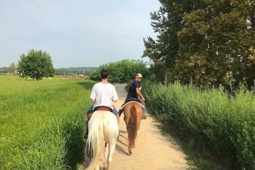 Horseback riding and wine tasting