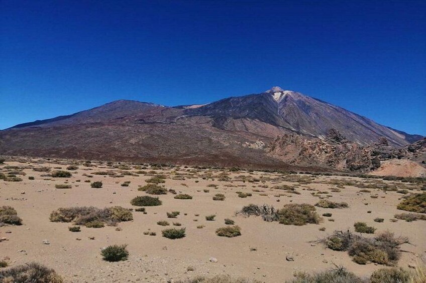 Mt. Teide and Masca Valley Tour in Tenerife 3