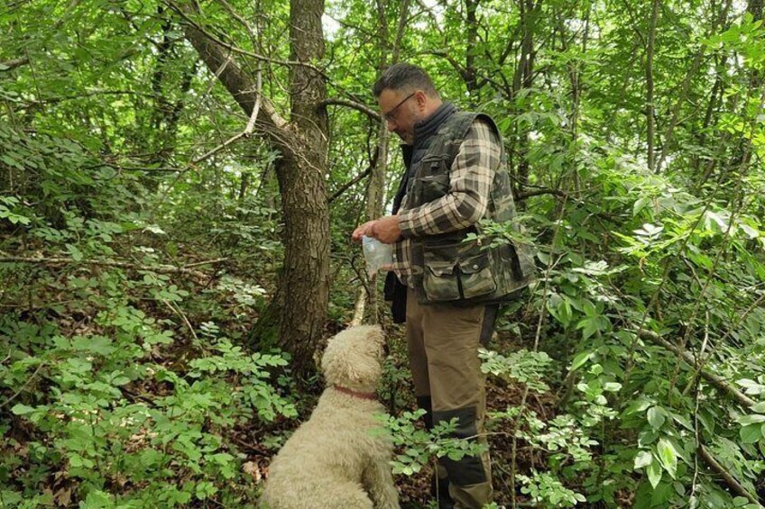 Truffle hunting and lunch experience in a restaurant 5
