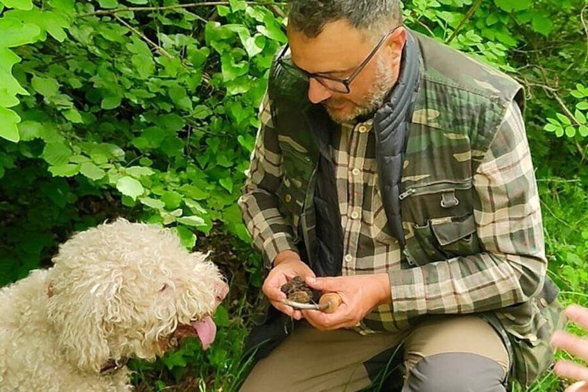 A person crouching outdoors, holding a small object, with a white dog nearby. 4